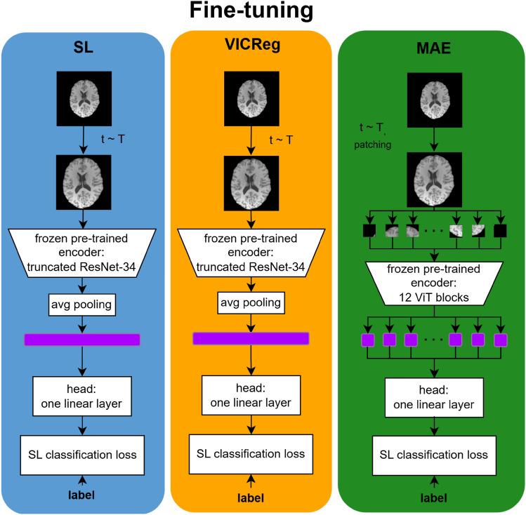 https://cdn.ncbi.nlm.nih.gov/pmc/blobs/5923/12405560/5d1f935fcd29/41598_2025_99000_Fig2_HTML.jpg