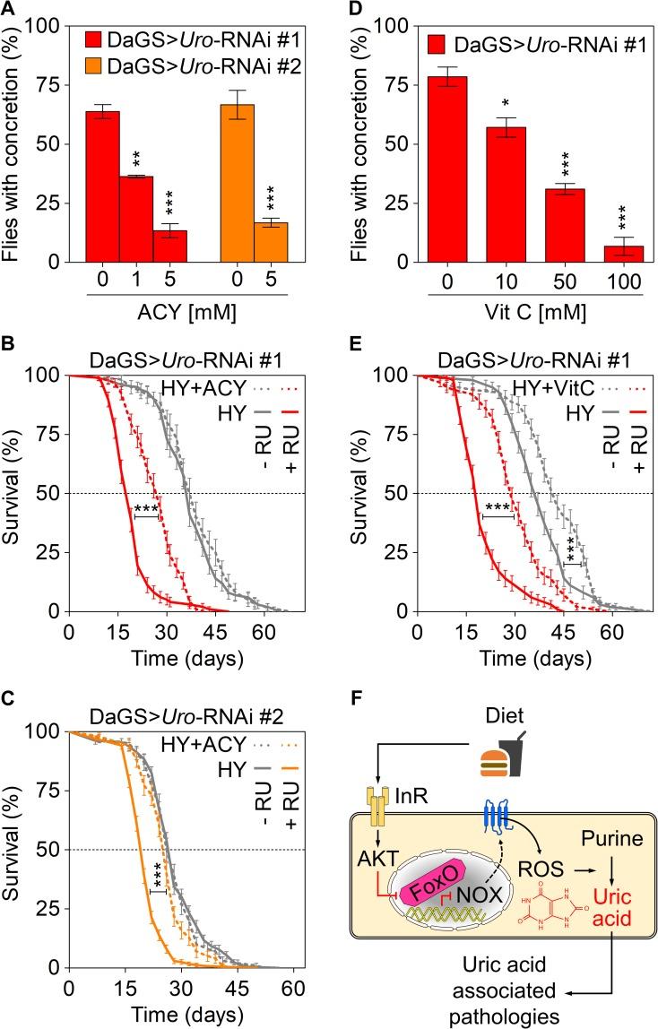 https://cdn.ncbi.nlm.nih.gov/pmc/blobs/5923/6695094/3d1fff98ba92/pgen.1008318.g007.jpg