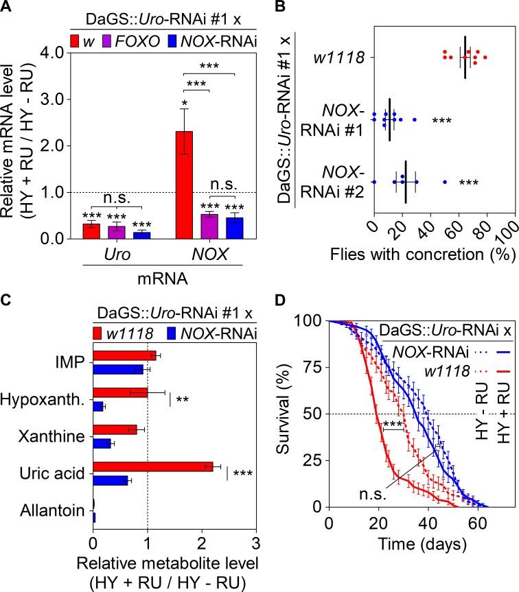 https://cdn.ncbi.nlm.nih.gov/pmc/blobs/5923/6695094/4faadb750adb/pgen.1008318.g006.jpg