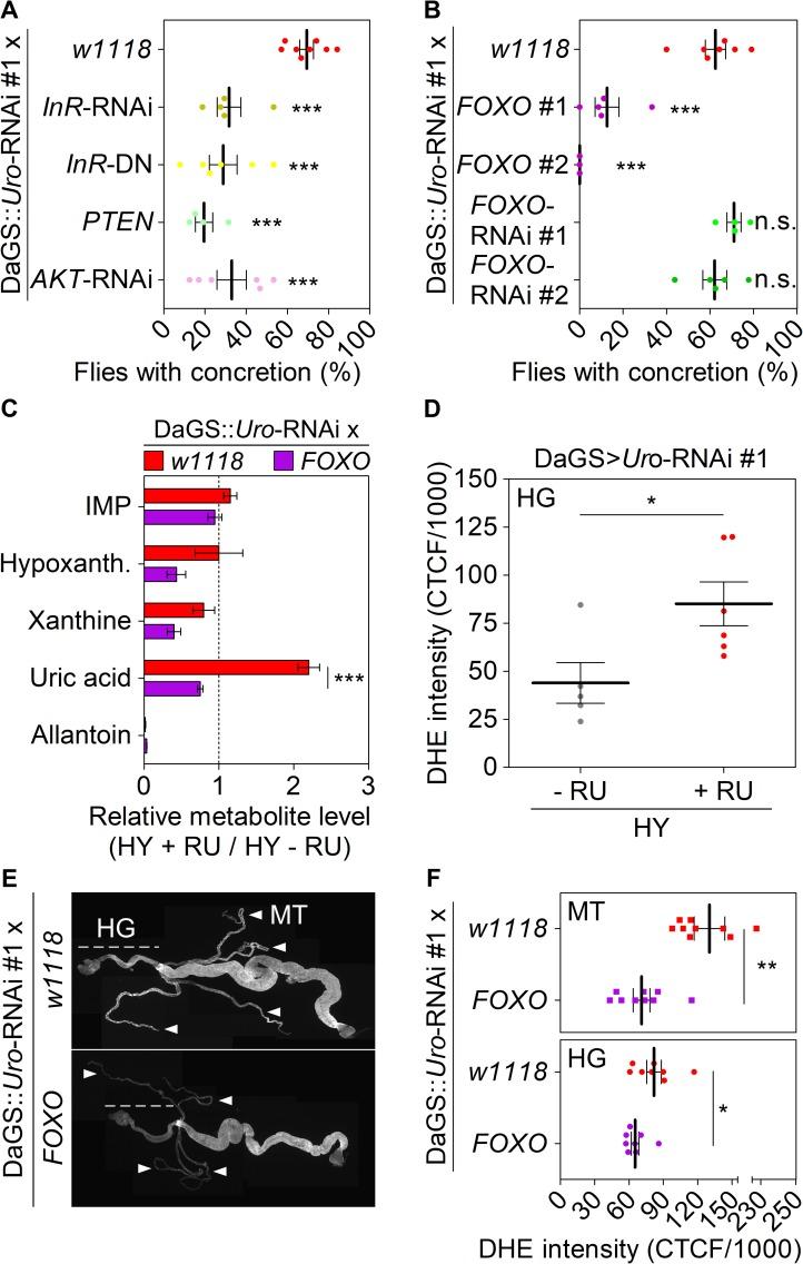 https://cdn.ncbi.nlm.nih.gov/pmc/blobs/5923/6695094/cb7f9442c6f6/pgen.1008318.g005.jpg