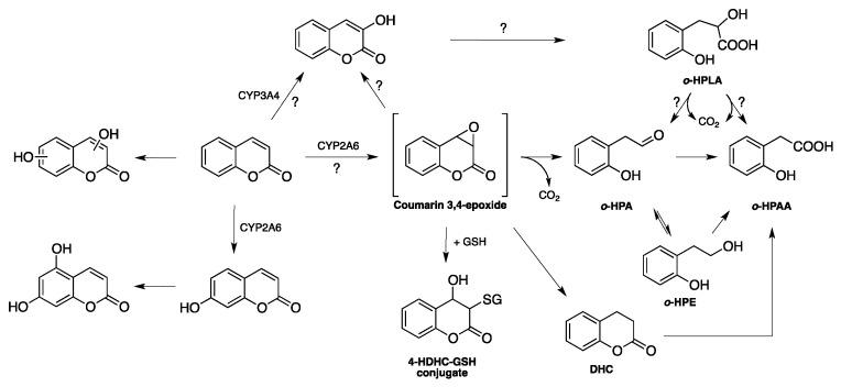 https://cdn.ncbi.nlm.nih.gov/pmc/blobs/5924/6017103/460c4a1f7a1c/molecules-23-00250-g005.jpg