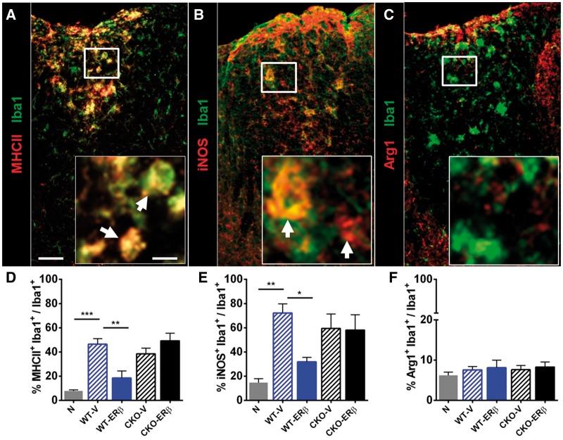https://cdn.ncbi.nlm.nih.gov/pmc/blobs/592b/5837360/4949f9182b91/awx315f3.jpg