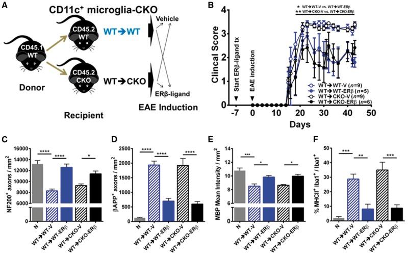 https://cdn.ncbi.nlm.nih.gov/pmc/blobs/592b/5837360/b0f73721d150/awx315f6.jpg