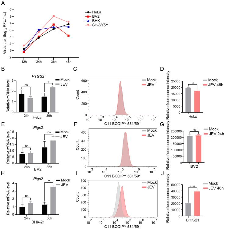 https://cdn.ncbi.nlm.nih.gov/pmc/blobs/592c/10877411/7ef20fabcd5e/figs2.jpg