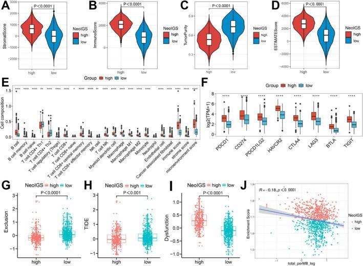 https://cdn.ncbi.nlm.nih.gov/pmc/blobs/592d/11994479/14419a603bb3/TCA-16-e70056-g001.jpg