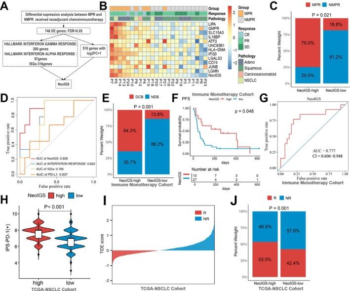 https://cdn.ncbi.nlm.nih.gov/pmc/blobs/592d/11994479/5230ebf54cd1/TCA-16-e70056-g004.jpg