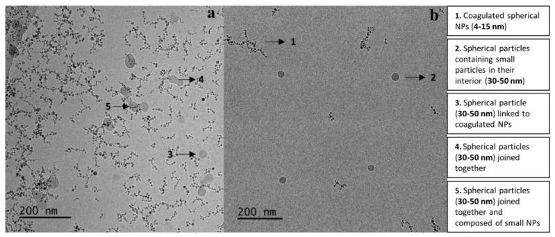 https://cdn.ncbi.nlm.nih.gov/pmc/blobs/5932/7362237/5914d564972c/polymers-12-01283-g010.jpg