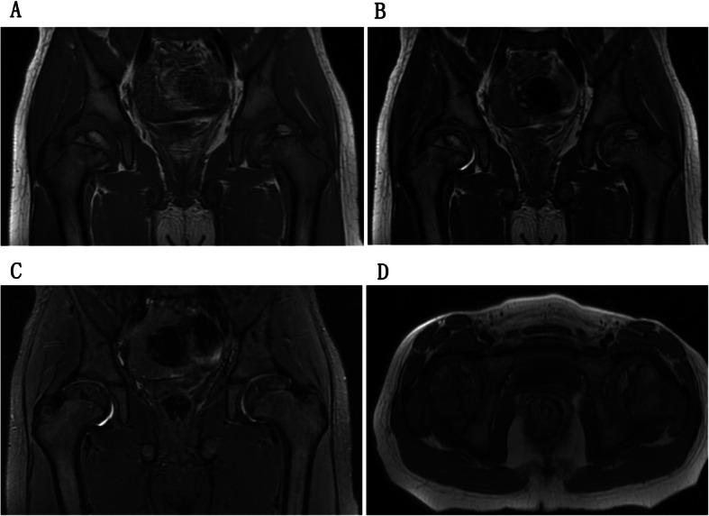 https://cdn.ncbi.nlm.nih.gov/pmc/blobs/5933/7718709/50db6a4aac22/12887_2020_2420_Fig5_HTML.jpg