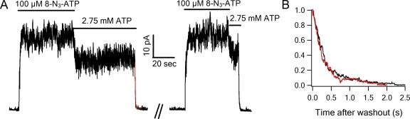 https://cdn.ncbi.nlm.nih.gov/pmc/blobs/5934/2860585/9a99d1e82f84/JGP_201010399_RGB_Fig6.jpg
