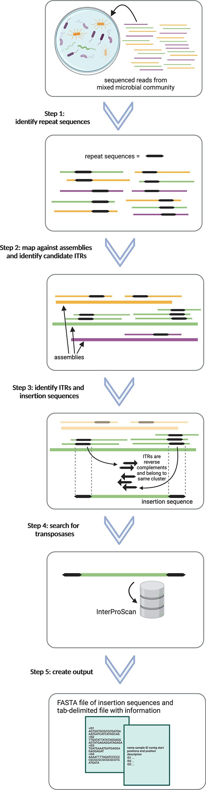 https://cdn.ncbi.nlm.nih.gov/pmc/blobs/5936/10132078/43cf9e0a3fa7/mgen-9-917-g001.jpg