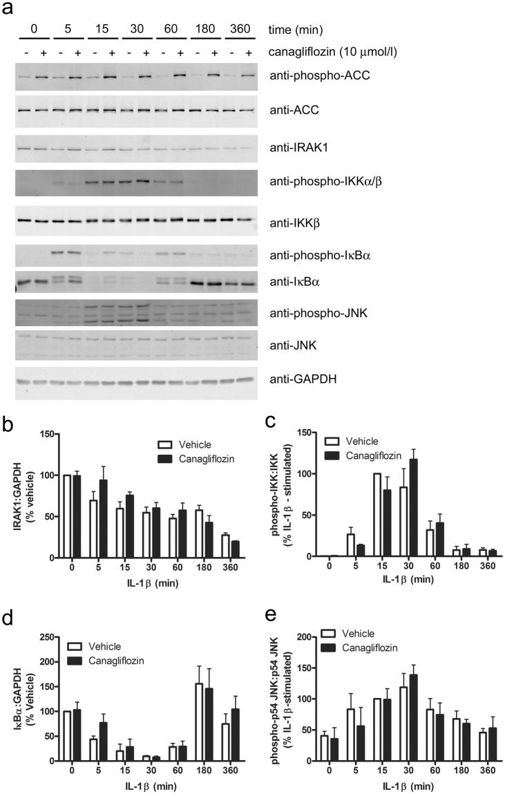 https://cdn.ncbi.nlm.nih.gov/pmc/blobs/5939/5869674/33df14a06df2/41598_2018_23420_Fig7_HTML.jpg
