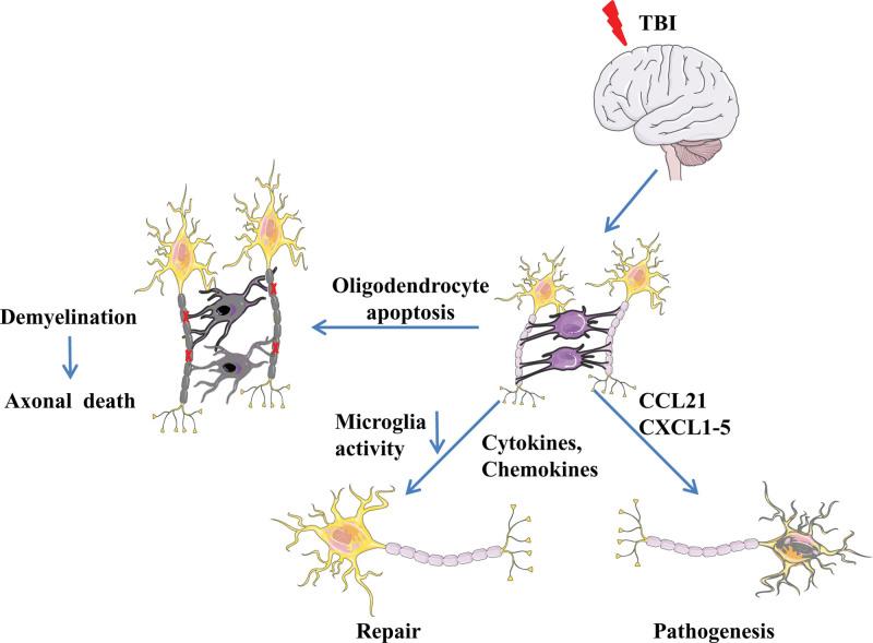 https://cdn.ncbi.nlm.nih.gov/pmc/blobs/593a/10289497/670046467b5c/medi-102-e34009-g003.jpg