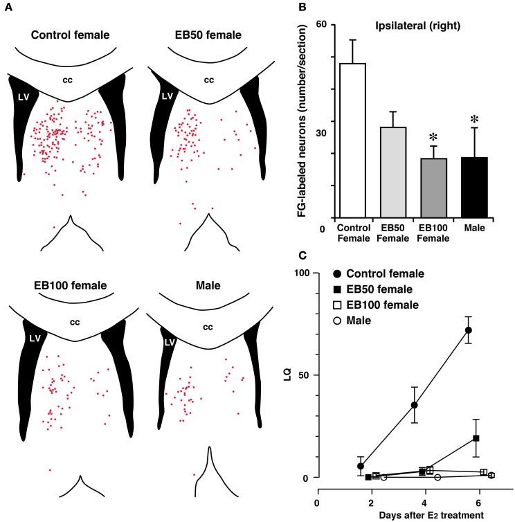https://cdn.ncbi.nlm.nih.gov/pmc/blobs/593a/4166118/037a47c0df41/fnins-08-00299-g0004.jpg