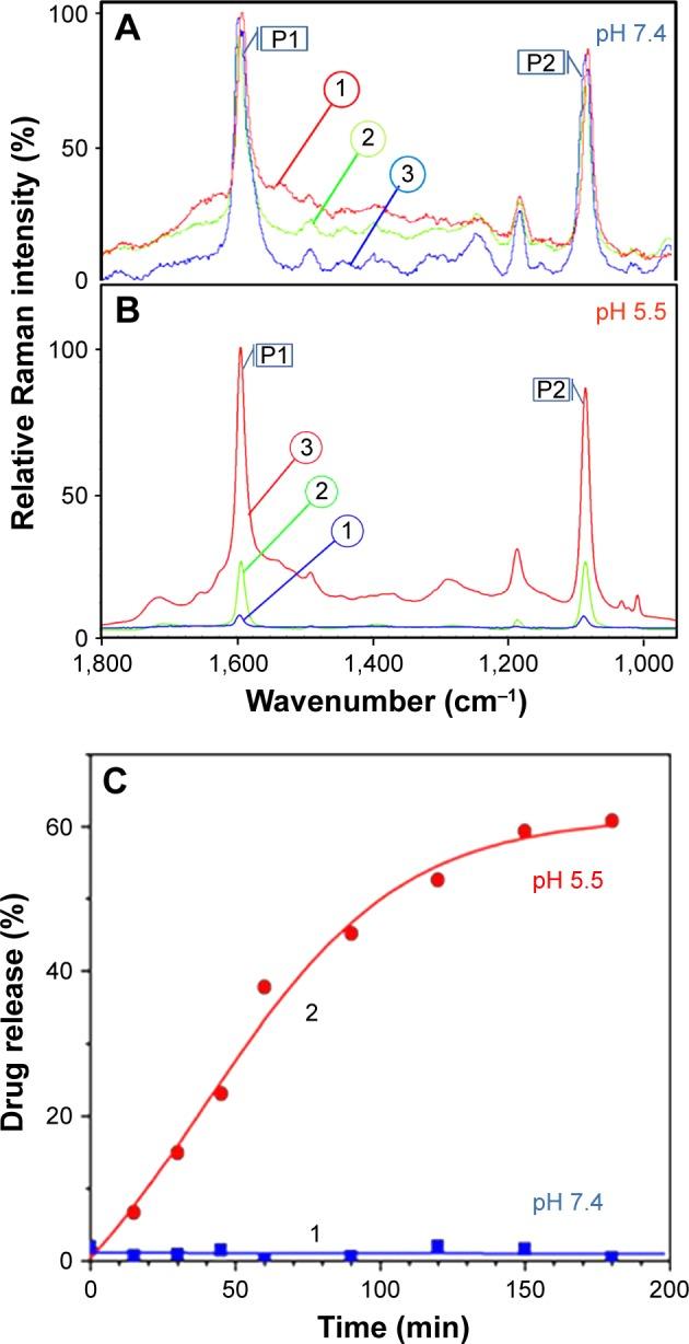https://cdn.ncbi.nlm.nih.gov/pmc/blobs/593c/5661449/591f0a3304ba/ijn-12-7763Fig6.jpg