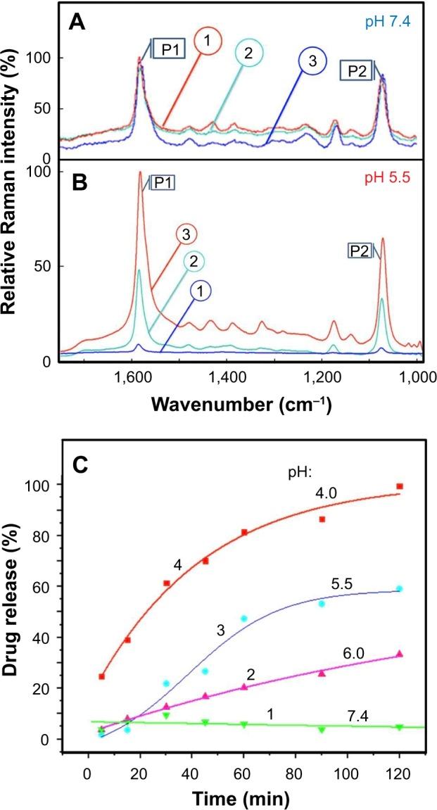 https://cdn.ncbi.nlm.nih.gov/pmc/blobs/593c/5661449/665e4555f34e/ijn-12-7763Fig7.jpg