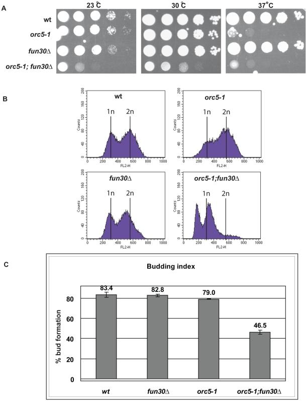 https://cdn.ncbi.nlm.nih.gov/pmc/blobs/593e/2780329/973cc9ed0324/pone.0008111.g003.jpg