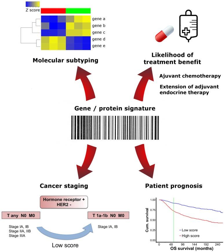https://cdn.ncbi.nlm.nih.gov/pmc/blobs/593e/6131478/7eaa34945a37/fmed-05-00248-g0001.jpg