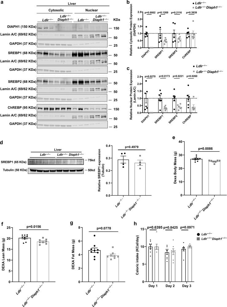 https://cdn.ncbi.nlm.nih.gov/pmc/blobs/593f/10023694/41166436bcf1/42003_2023_4643_Fig5_HTML.jpg