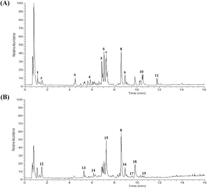 https://cdn.ncbi.nlm.nih.gov/pmc/blobs/593f/8105393/1b2957f908af/41598_2021_89257_Fig6_HTML.jpg