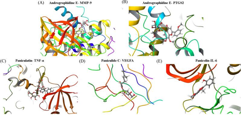 https://cdn.ncbi.nlm.nih.gov/pmc/blobs/593f/8105393/6a9a5dbcb886/41598_2021_89257_Fig5_HTML.jpg