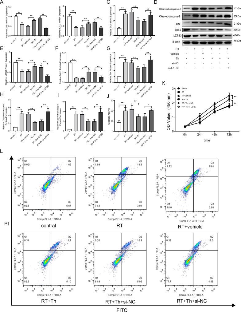 https://cdn.ncbi.nlm.nih.gov/pmc/blobs/5940/11428329/80cc912fae9b/12967_2024_5648_Fig4_HTML.jpg