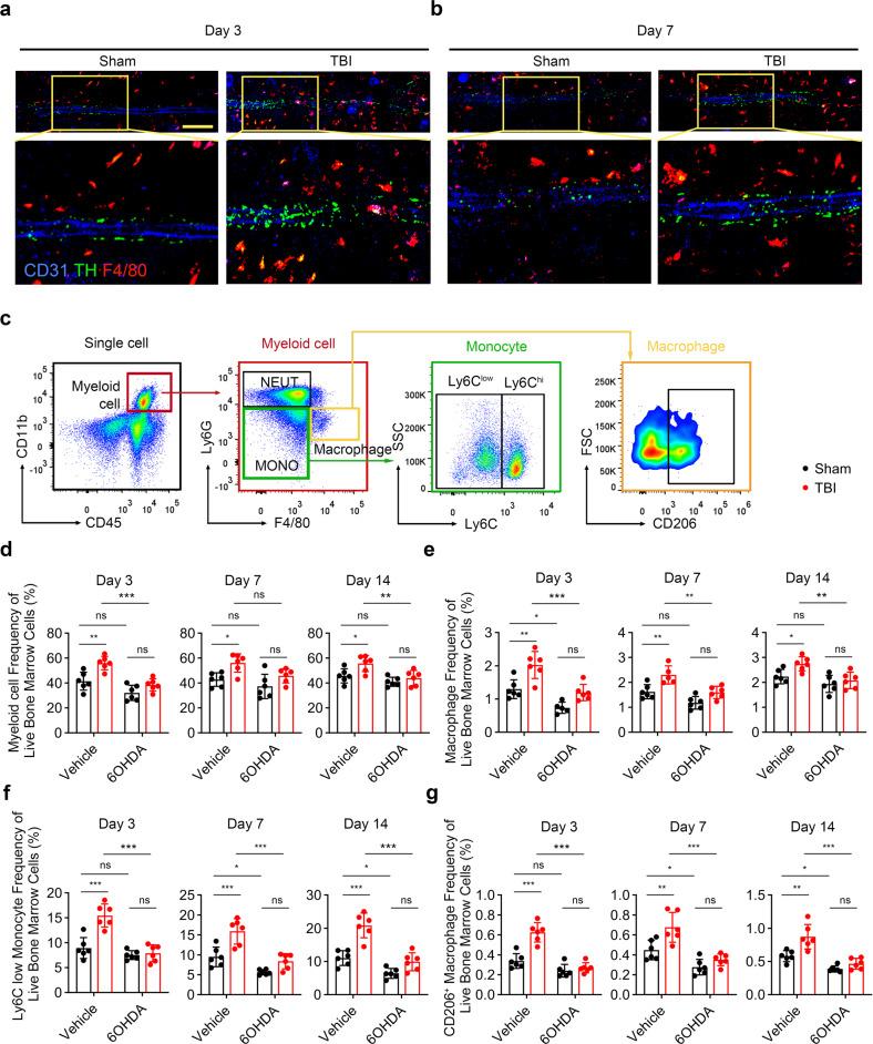https://cdn.ncbi.nlm.nih.gov/pmc/blobs/5943/10319807/20370555f03c/41392_2023_1457_Fig5_HTML.jpg