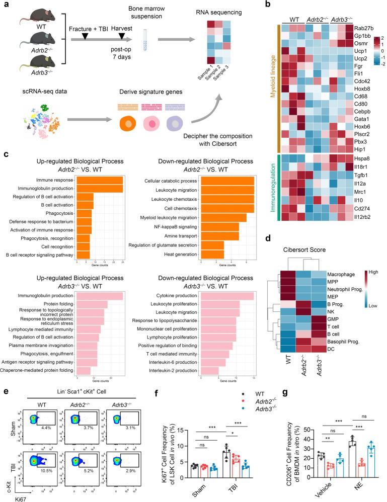 https://cdn.ncbi.nlm.nih.gov/pmc/blobs/5943/10319807/836fc00da01c/41392_2023_1457_Fig7_HTML.jpg