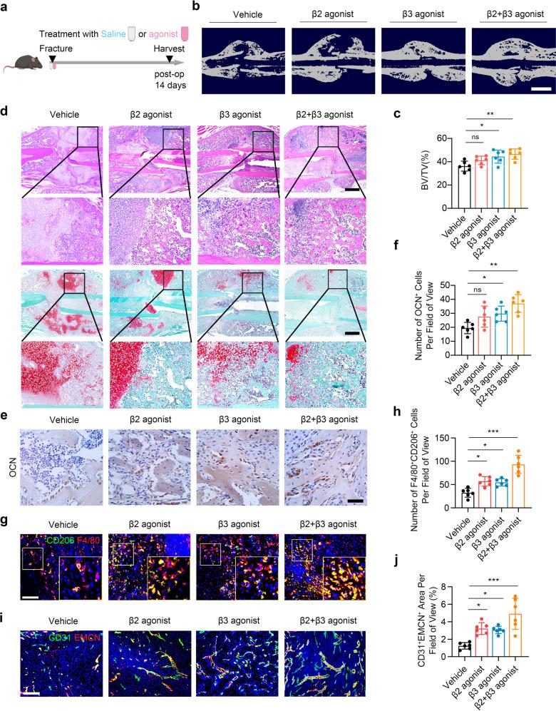https://cdn.ncbi.nlm.nih.gov/pmc/blobs/5943/10319807/a60661cec3ed/41392_2023_1457_Fig8_HTML.jpg