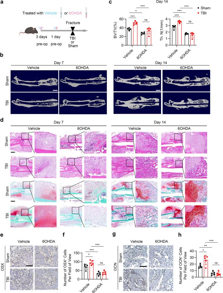 https://cdn.ncbi.nlm.nih.gov/pmc/blobs/5943/10319807/d264d9eb608c/41392_2023_1457_Fig2_HTML.jpg