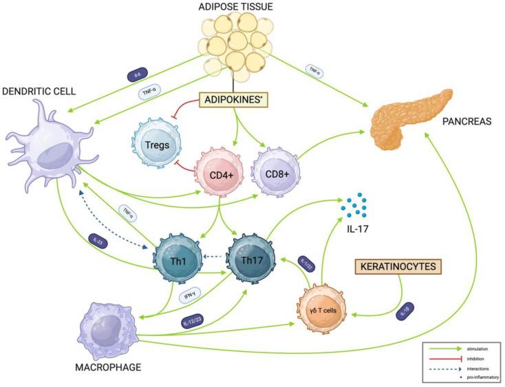 https://cdn.ncbi.nlm.nih.gov/pmc/blobs/5943/12026325/83f037ed6a3b/cells-14-00610-g003.jpg