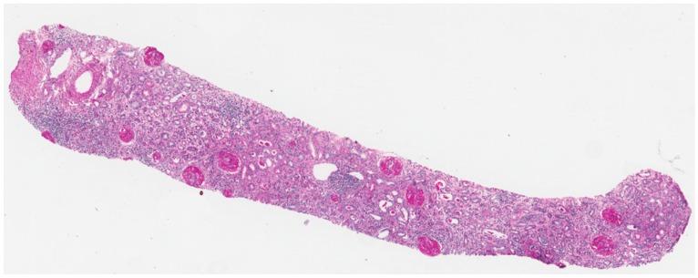https://cdn.ncbi.nlm.nih.gov/pmc/blobs/5943/5537884/eef88fedd914/nutrients-09-00770-g004.jpg