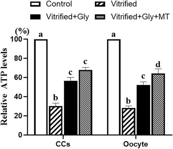 https://cdn.ncbi.nlm.nih.gov/pmc/blobs/5949/8907381/6f3ff63d46ca/fcell-10-856486-g007.jpg