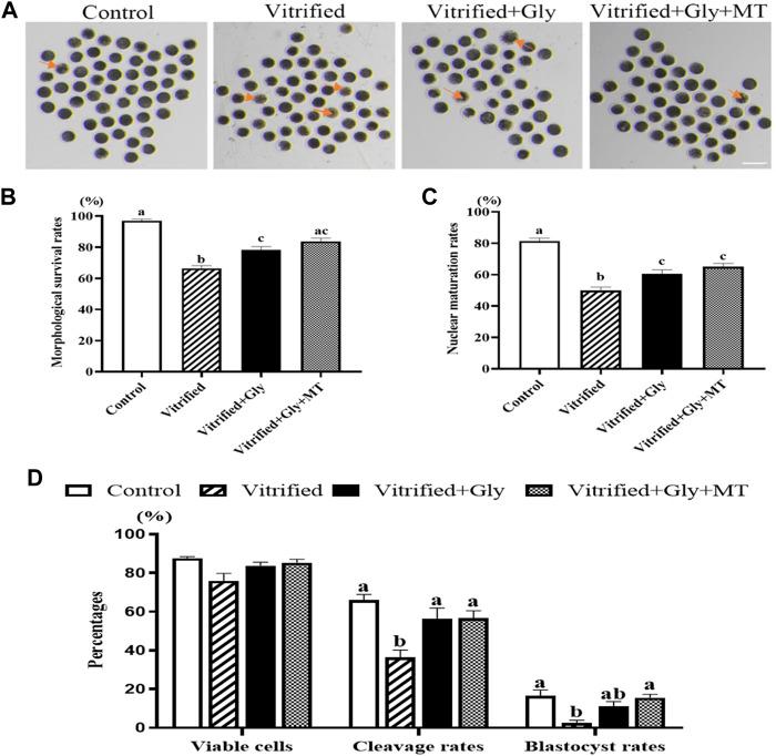 https://cdn.ncbi.nlm.nih.gov/pmc/blobs/5949/8907381/720466706348/fcell-10-856486-g001.jpg