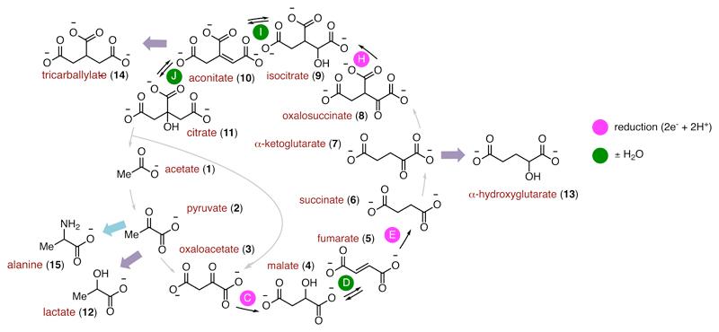 https://cdn.ncbi.nlm.nih.gov/pmc/blobs/594a/5659384/8da0f821f2b1/emss-73758-f002.jpg