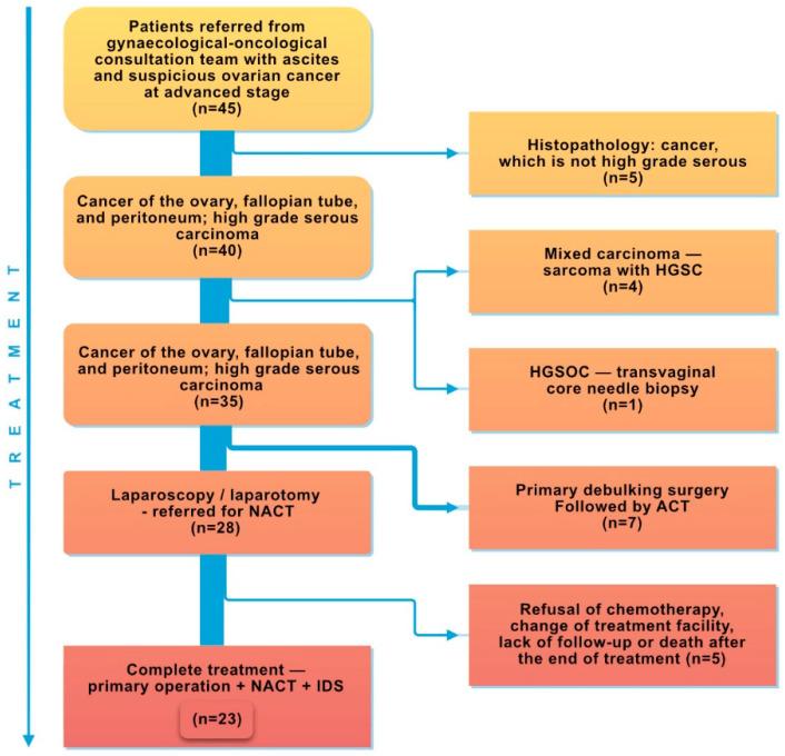 https://cdn.ncbi.nlm.nih.gov/pmc/blobs/594b/11432368/dbc853e17e9a/ijms-25-10195-g006.jpg