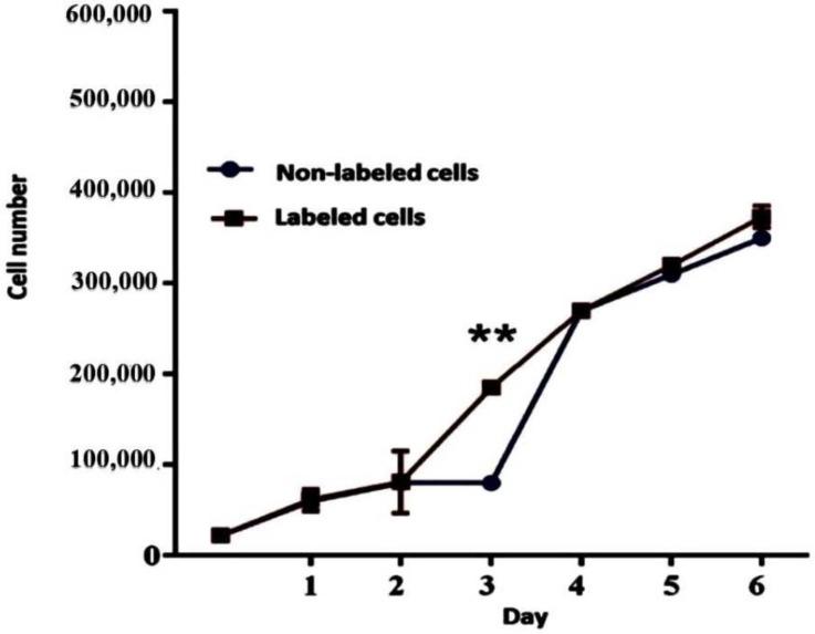 https://cdn.ncbi.nlm.nih.gov/pmc/blobs/594c/10054380/3316c2e8bd2c/jcm-12-02395-g003.jpg