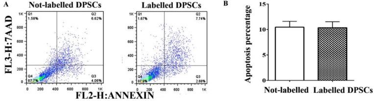 https://cdn.ncbi.nlm.nih.gov/pmc/blobs/594c/10054380/54bff70748c1/jcm-12-02395-g008.jpg