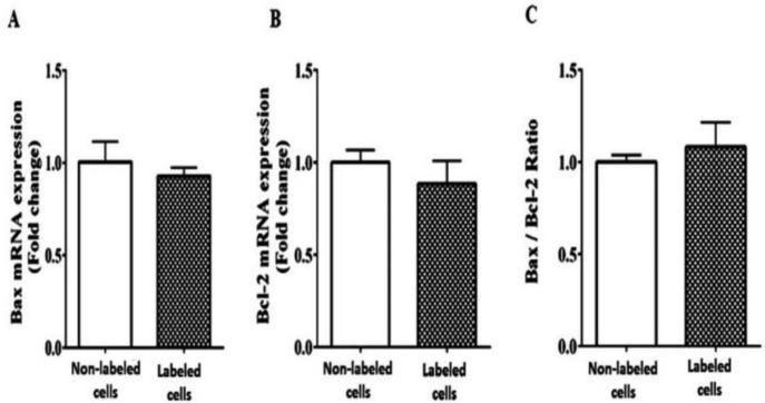 https://cdn.ncbi.nlm.nih.gov/pmc/blobs/594c/10054380/92d4d40e01b7/jcm-12-02395-g007.jpg