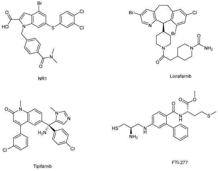 https://cdn.ncbi.nlm.nih.gov/pmc/blobs/594f/10855792/19e3591e0f03/ijms-25-01489-g005.jpg