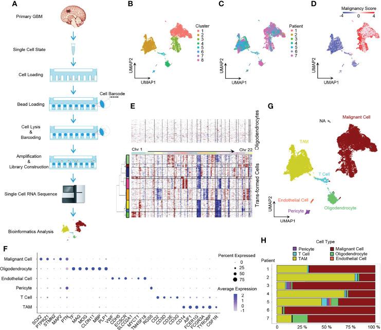 https://cdn.ncbi.nlm.nih.gov/pmc/blobs/5951/9163377/2585b2c4bcce/fimmu-13-914236-g001.jpg
