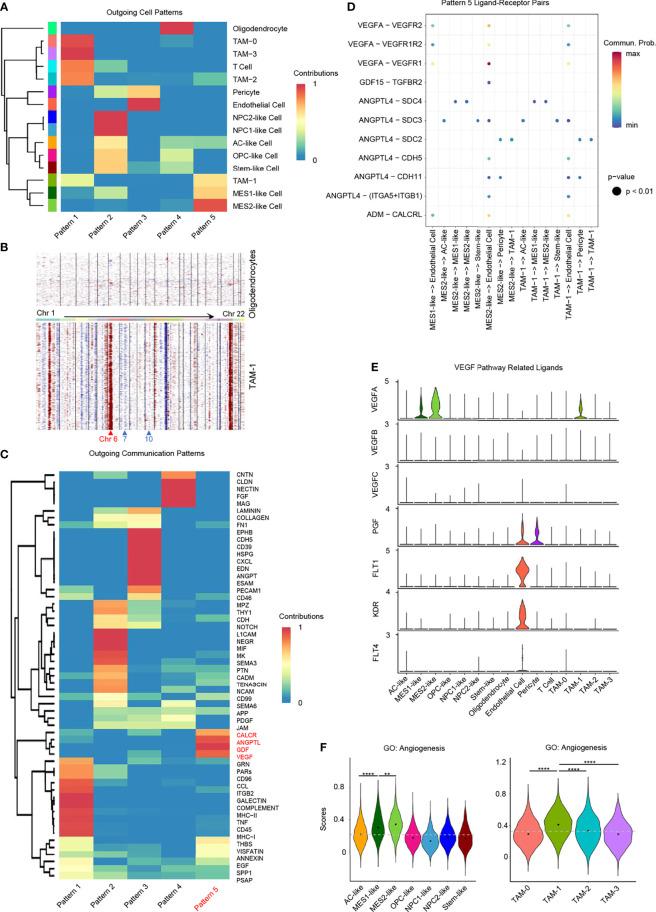 https://cdn.ncbi.nlm.nih.gov/pmc/blobs/5951/9163377/34e5db36401a/fimmu-13-914236-g006.jpg
