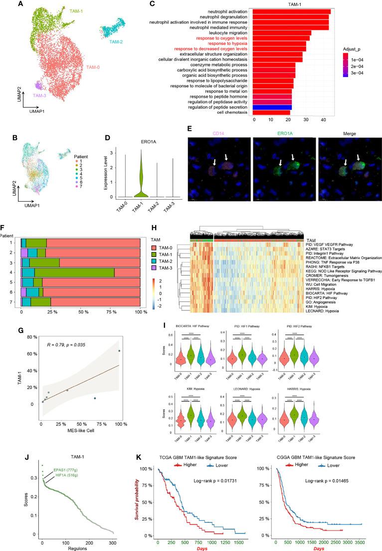 https://cdn.ncbi.nlm.nih.gov/pmc/blobs/5951/9163377/8e084ba59ad2/fimmu-13-914236-g005.jpg