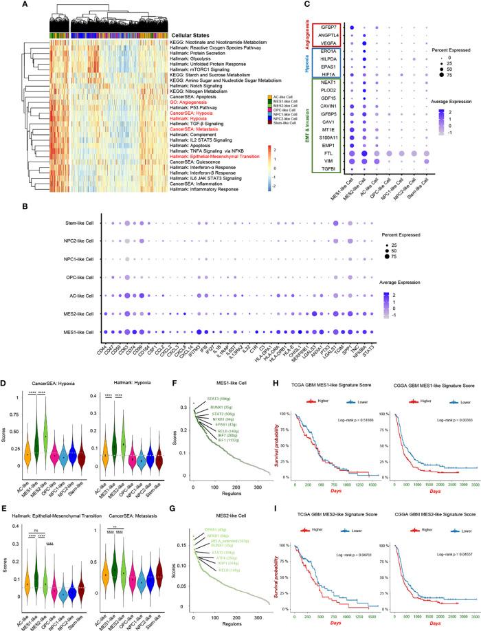 https://cdn.ncbi.nlm.nih.gov/pmc/blobs/5951/9163377/988468949c87/fimmu-13-914236-g004.jpg