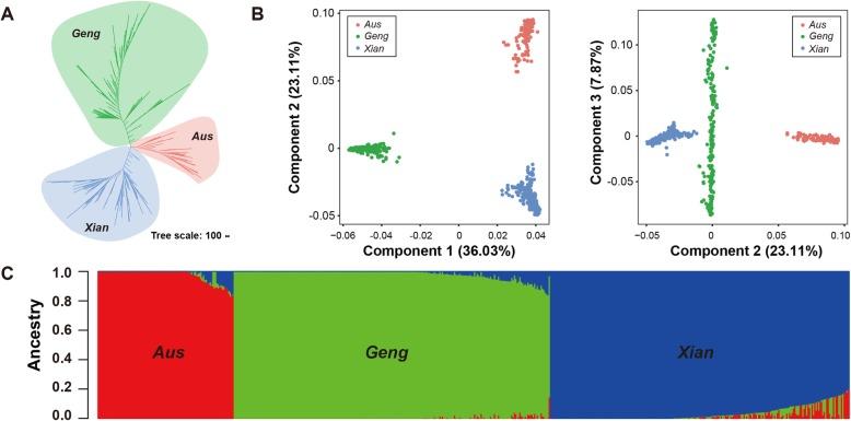 https://cdn.ncbi.nlm.nih.gov/pmc/blobs/5953/6920286/18385450102e/12284_2019_351_Fig1_HTML.jpg