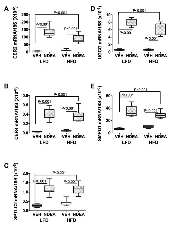https://cdn.ncbi.nlm.nih.gov/pmc/blobs/5954/2803782/1ab6d923b56a/1750-1326-4-54-8.jpg