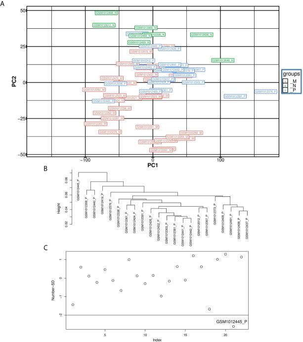 https://cdn.ncbi.nlm.nih.gov/pmc/blobs/5954/8263939/ae30ea4da66b/fonc-11-597536-g002.jpg