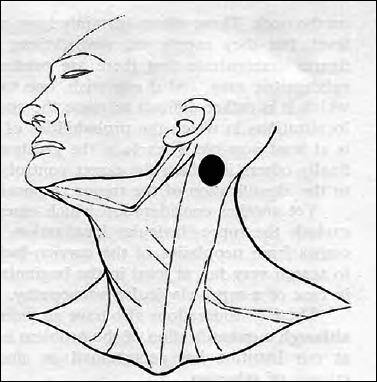 https://cdn.ncbi.nlm.nih.gov/pmc/blobs/5957/10132485/1463538aa695/aoi-2023-02-85-g003.jpg