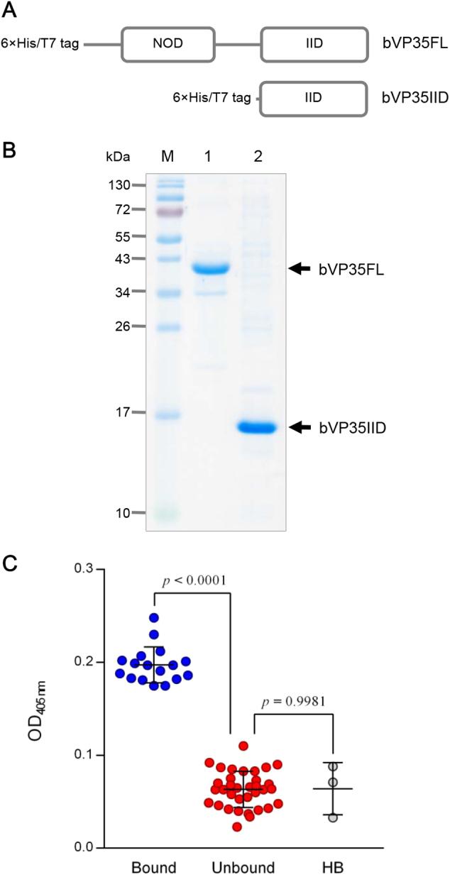 https://cdn.ncbi.nlm.nih.gov/pmc/blobs/5957/5864874/a5057fb0a821/41426_2018_31_Fig1_HTML.jpg