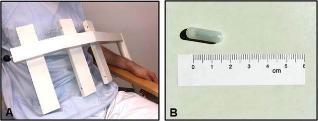 https://cdn.ncbi.nlm.nih.gov/pmc/blobs/5957/6659650/c36b8b62b548/41531_2019_87_Fig3_HTML.jpg