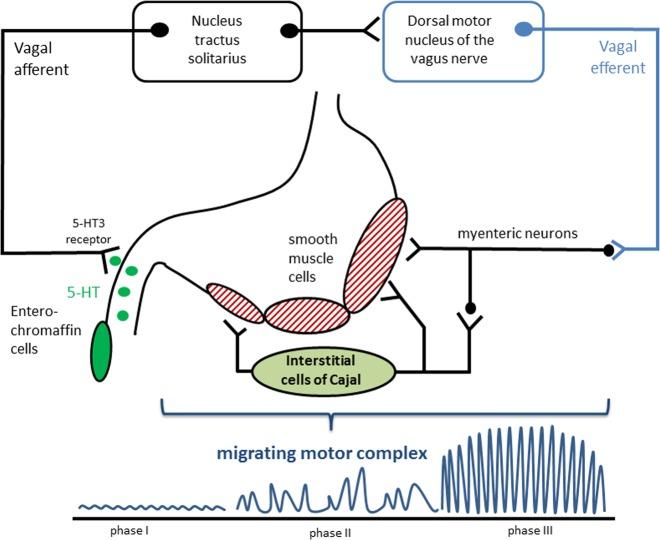 https://cdn.ncbi.nlm.nih.gov/pmc/blobs/5957/6659650/f05caad54ba9/41531_2019_87_Fig1_HTML.jpg